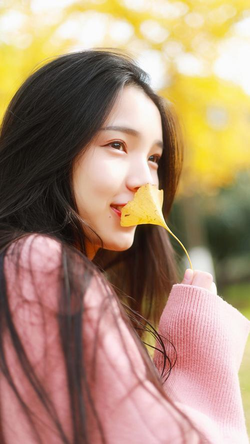 jjzzwww注册流程演示